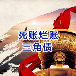 和政要债公司